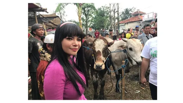 Potret Artis Bareng Hewan Kurbannya Ada Kambing Hingga Sapi Jumbo Hot Liputan