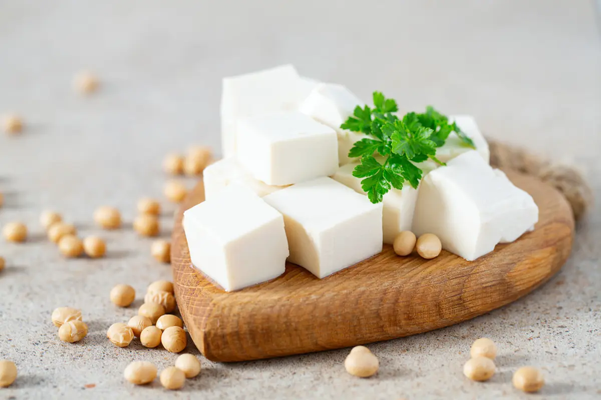 tofu tahu