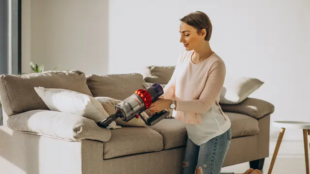 Cleaning Sofa