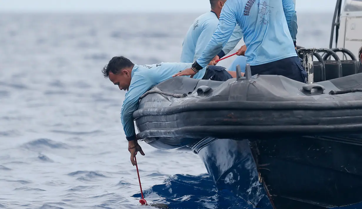 Penyelam Komando Pasukan Katak (Kopaska) TNI AL mengambil puing dari ari saat mencari korban pesawat Lion Air JT 610 yang jatuh di perairan Tanjung Karawang, Jawa Barat, Selasa (30/10). Lion Air JT 610 dinyatakan laik terbang. (AP Photo/Tatan Syuflana)