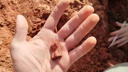 Fosil ini pertama kali diidentifikasi pada bulan Mei di dekat kota Sao Joao do Polesine, sekitar 280 kilometersebelah barat Porto Alegre, di bagian pampas Brasil yang dijuluki 'El Dorado' dalam paleontologi negara tersebut. (Handout / Federal University of Santa Maria / AFP)