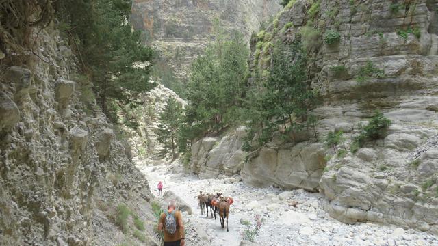 Samaria Gorge