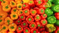 Perbedaan Paprika Merah, Kuning, dan Hijau untuk Penggunaan Terbaik di Berbagai Hidangan