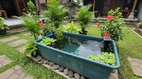 7 Model Kolam Ikan Portable dari Kontainer Plastik, Praktis dan Tampil Estetik