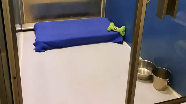 The Barkley Pet Hote