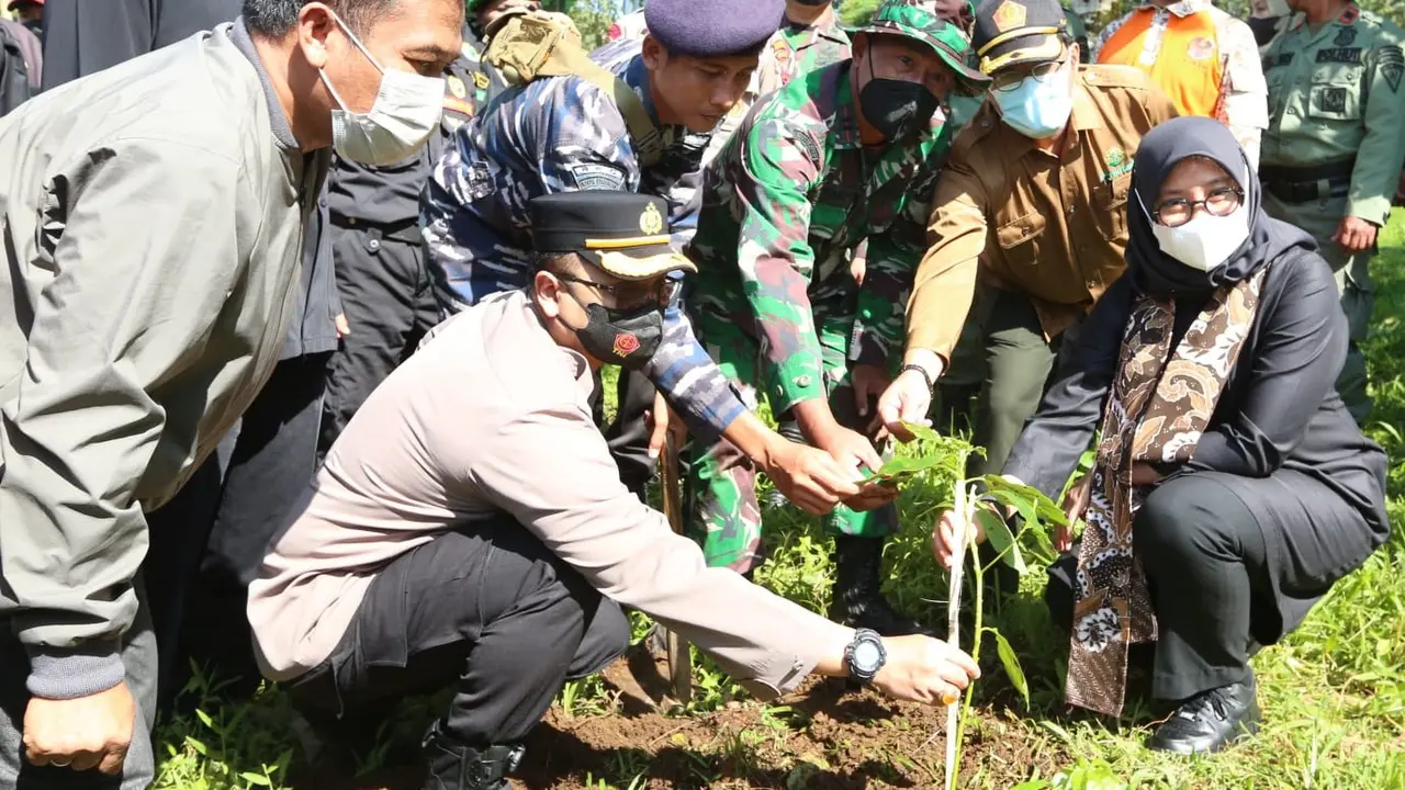 Ribuan pohon di tanam di kawasan Gunung Ijen antisipasi tanah longsor (Istimewa)