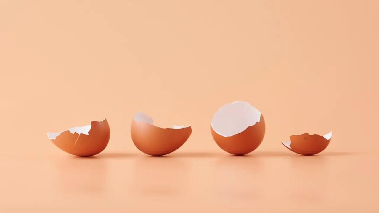 Apa itu eggshell parenting?