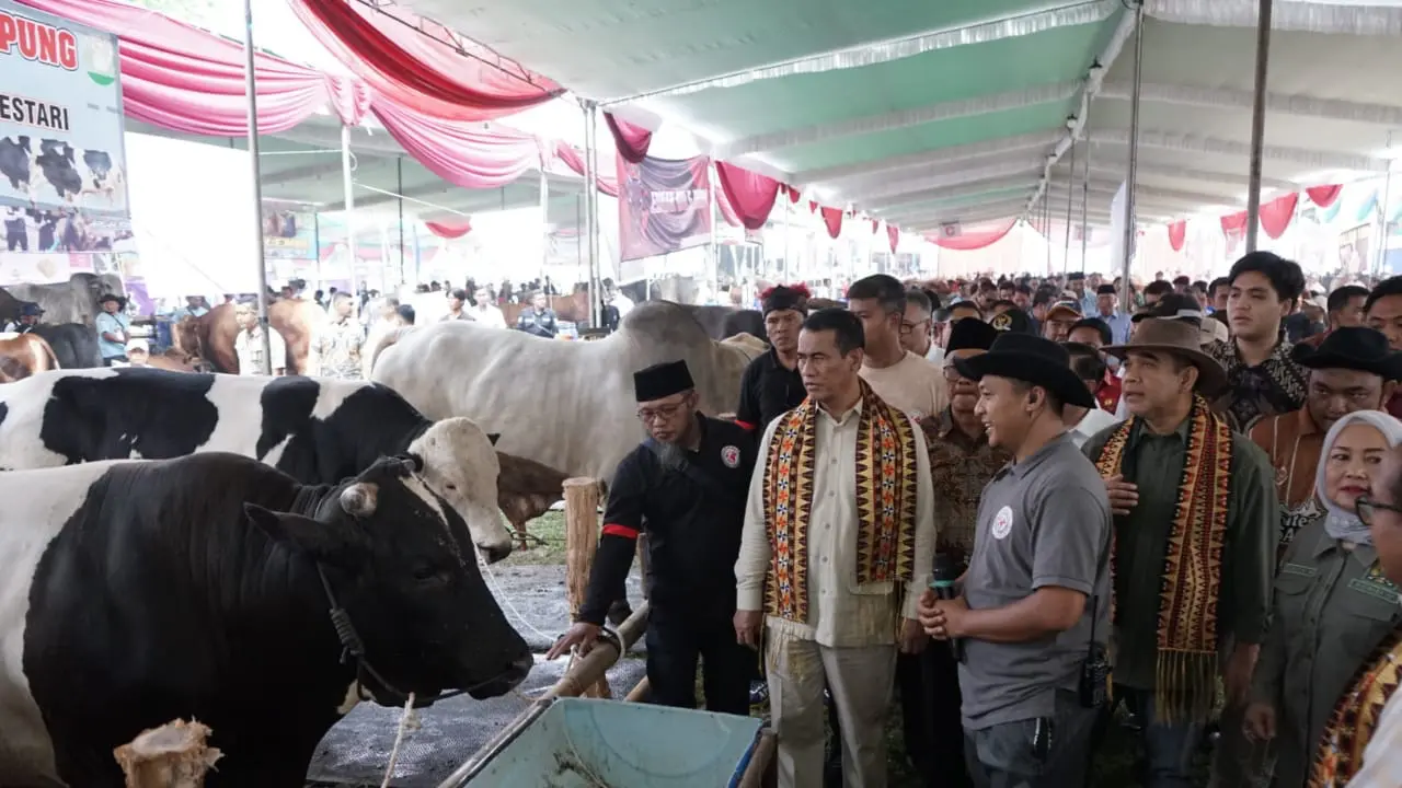 Mentan Amran Bereskan 5 Keluhan Petani-Peternak Kunker ke Lampung