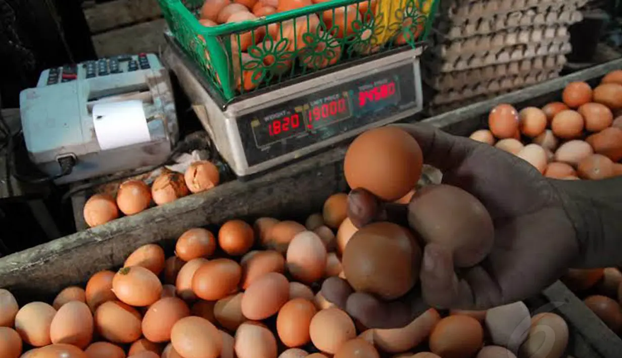Seorang pedagang telur di kawasan Pasar Minggu tampak sedang memilih telur untuk ditimbang pada Rabu (04/06/14) (Liputan6.com/Miftahul Hayat)