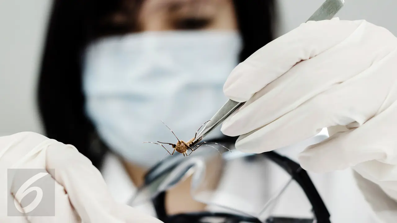 Virus Zika