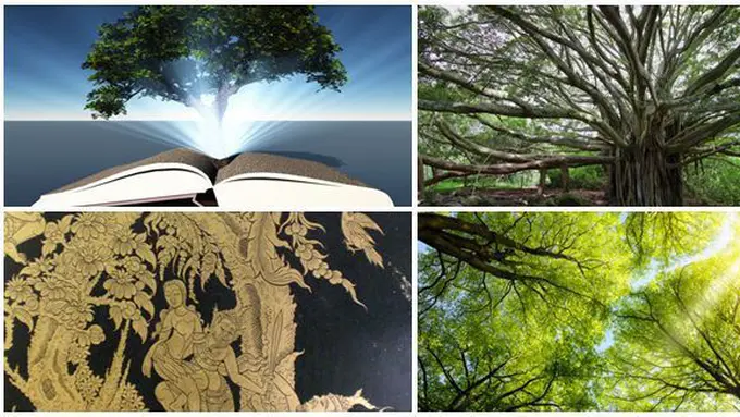 Foto : copyright listverse.com