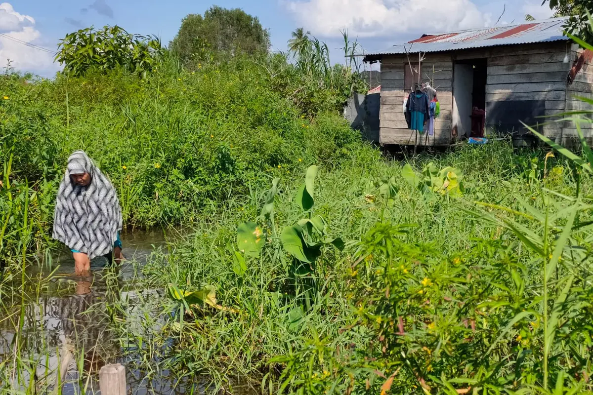 Kondisi Warga Miskin di Palembang, Tinggal di Atas Rawa Hingga Kekurangan Biaya Berobat