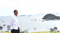 Presiden Jokowi menikmati keindahan Labuan Bajo dari Puncak Waringin, NTT, Rabu (10/7/2019). (Biro Pers Setpers)