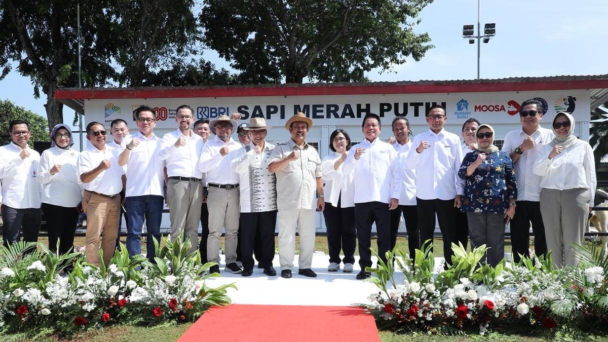 BRI Perkuat Dukungan Program Sapi Merah Putih untuk Ketahanan Pangan Nasional
