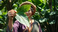 Ciri-Ciri Daun Kratom: Panduan Lengkap Mengenali Tanaman Mitragyna Speciosa