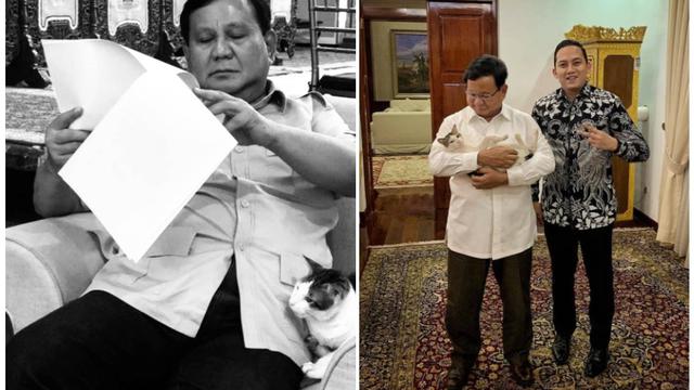 Bobby, Kucing Pak Prabowo