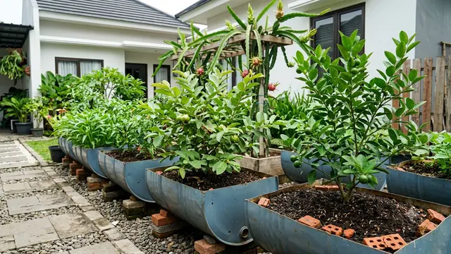 Ide Pekarangan Produktif dari Drum Bekas