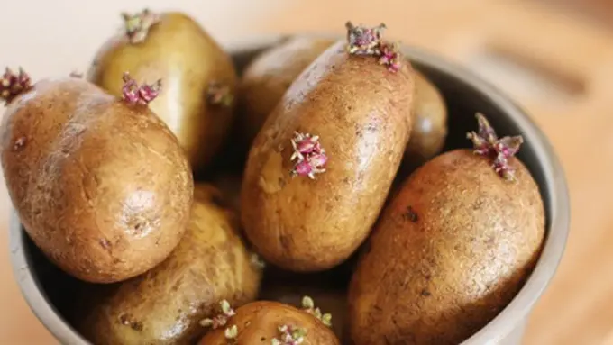 copyright by istock.com