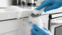 Cara agar Kecoa Tidak Buang Kotoran di Tempat yang Sama di Dapur