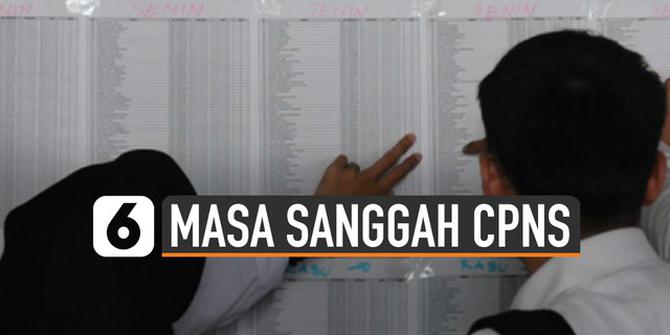 VIDEO: Ini yang Bisa Dilakukan Peserta Selama Masa Sanggah CPNS