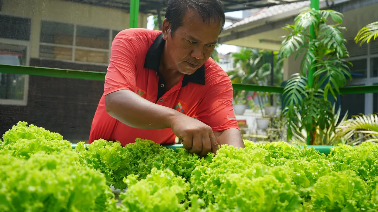 Terapi Berkebun