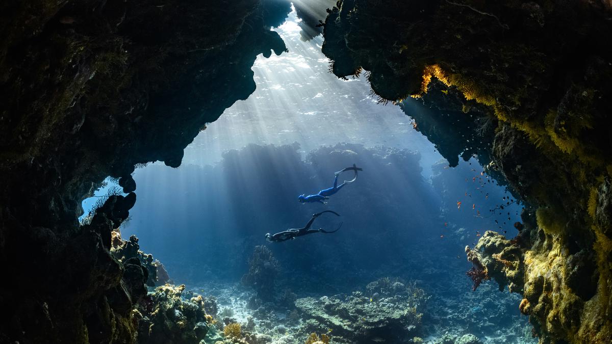 Wisata Selam di Indonesia Makin Digemari, Kemenpar Fokus Perbesar Pasar dan Perbaiki Tata Kelola