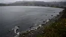 Bangkai paus abu-abu mati terdampar di pantai dekat Pacifica State Beach, Pacifica, California (14/5/2019). Peneliti belum dapat menentukan berapa lama bangkai paus itu terdampar. (AFP Photo/Justin Sullivan)