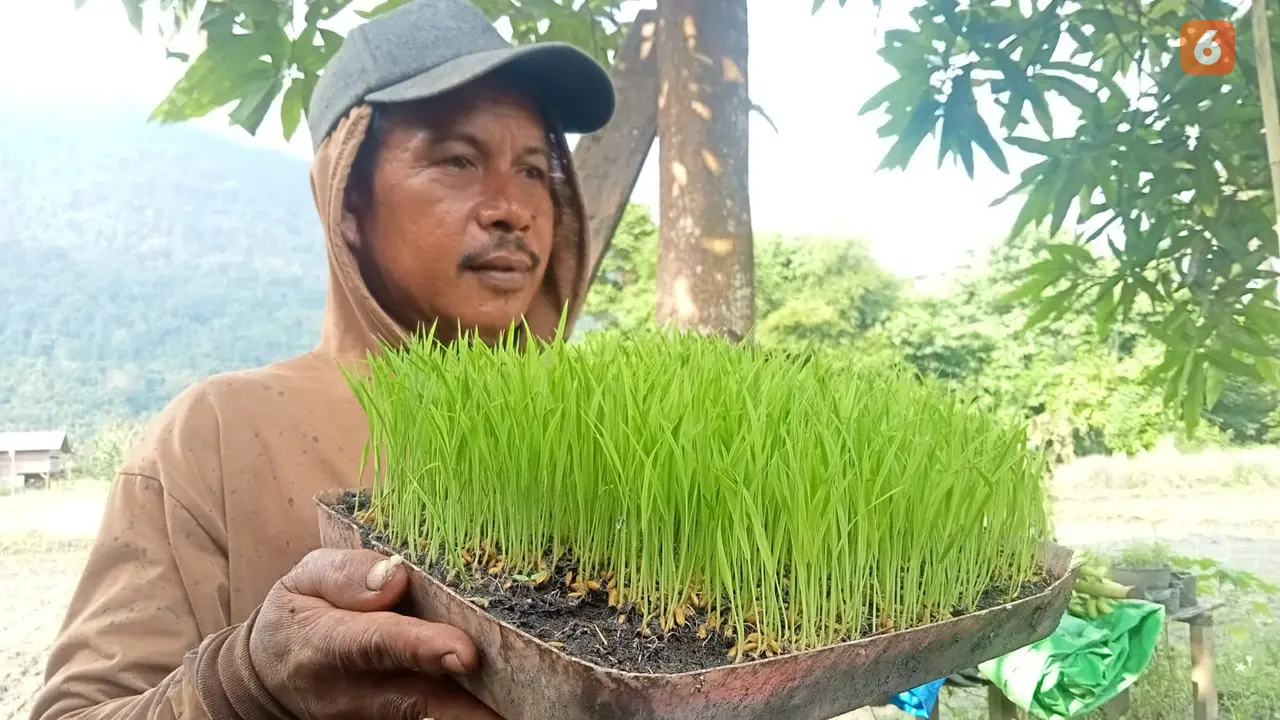 Petani di Morowali