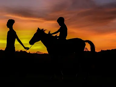 Seorang remaja hendak pulang bersama kuda peliharaanya. Kuda menjadi salah satu ciri dari Sumba Timur. Berdasarkan sejarah dahulu kala kuda memiliki peranan penting dalam peperangan di wilayah Sumba. (Liputan6.com/Johan Tallo)