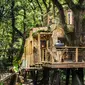 Mengintip Rumah Pohon Mewah Seharga Rp 2,4 miliar