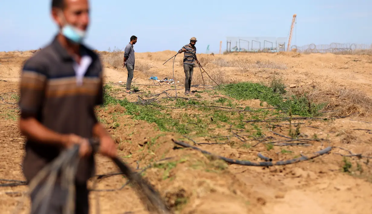 Sejumlah petani Palestina memeriksa lahan pertanian mereka setelah buldoser tentara Israel merusak sebagian lahan itu, yang berada di sebelah timur Khan Yunis di perbatasan Jalur Gaza selatan (13/10/2020). (Xinhua/Yasser Qudih)