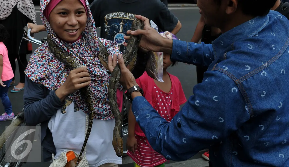 Pencinta reptil yang tergabung dalam Reptile dan Amphibian Community menampilkan beberapa hewan reptil mereka di Car Free Day, Jakarta, Minggu (23/8/2015). Kehadiran mereka menarik perhatian warga yang sedang menikmati CFD. (Liputan6.com/Johan Tallo)
