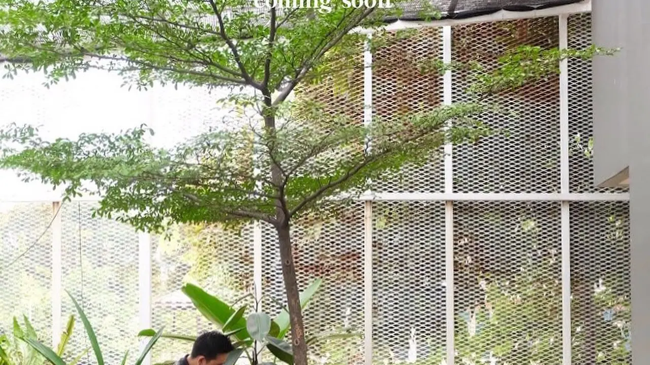 Kafe Bernuansa Alam di Jakarta