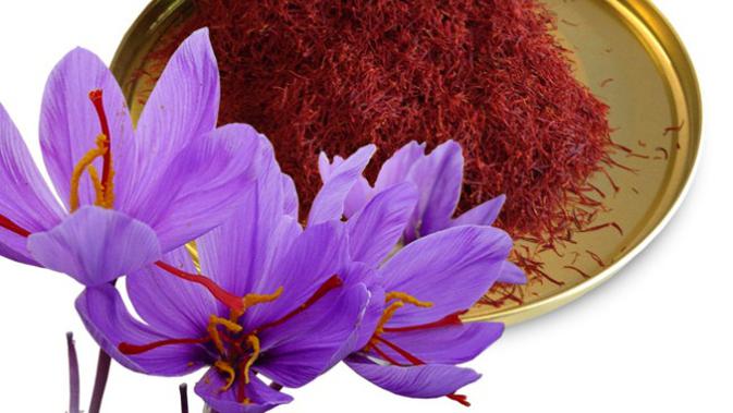 Saffron Bumbu Dapur Termahal Di Dunia Bisnis Liputan6 Com