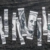 Tak ingin berikan warisan, nenek di Austria gunting uang $1 juta sebelum meninggal.