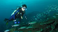 Deretan surga bawah laut di Indonesia jadi tujuan utama para penyelam dari luar dan dalam negeri.