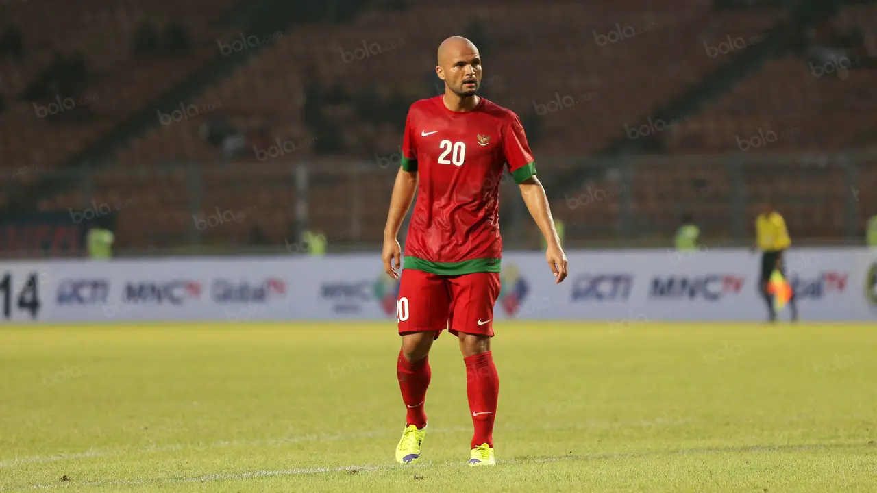 Sergio van Dijk, Timnas Indonesia