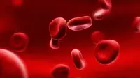 Pemahaman dan kesadaran masyarakat Indonesia terhadap hemofilia masih minim