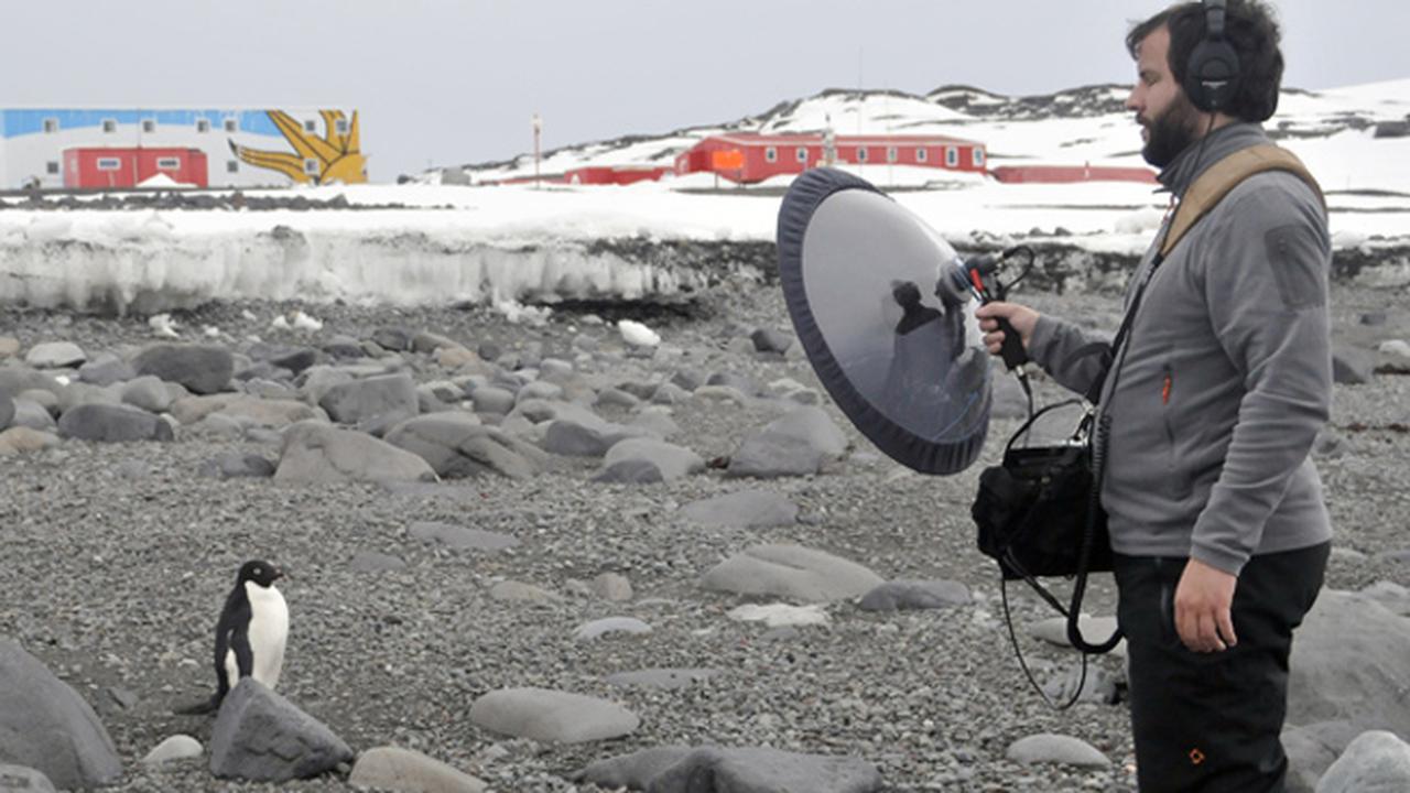 Ajaib, Meski Buta Laki-Laki Ini Bisa Bedakan 3000 Suara Burung