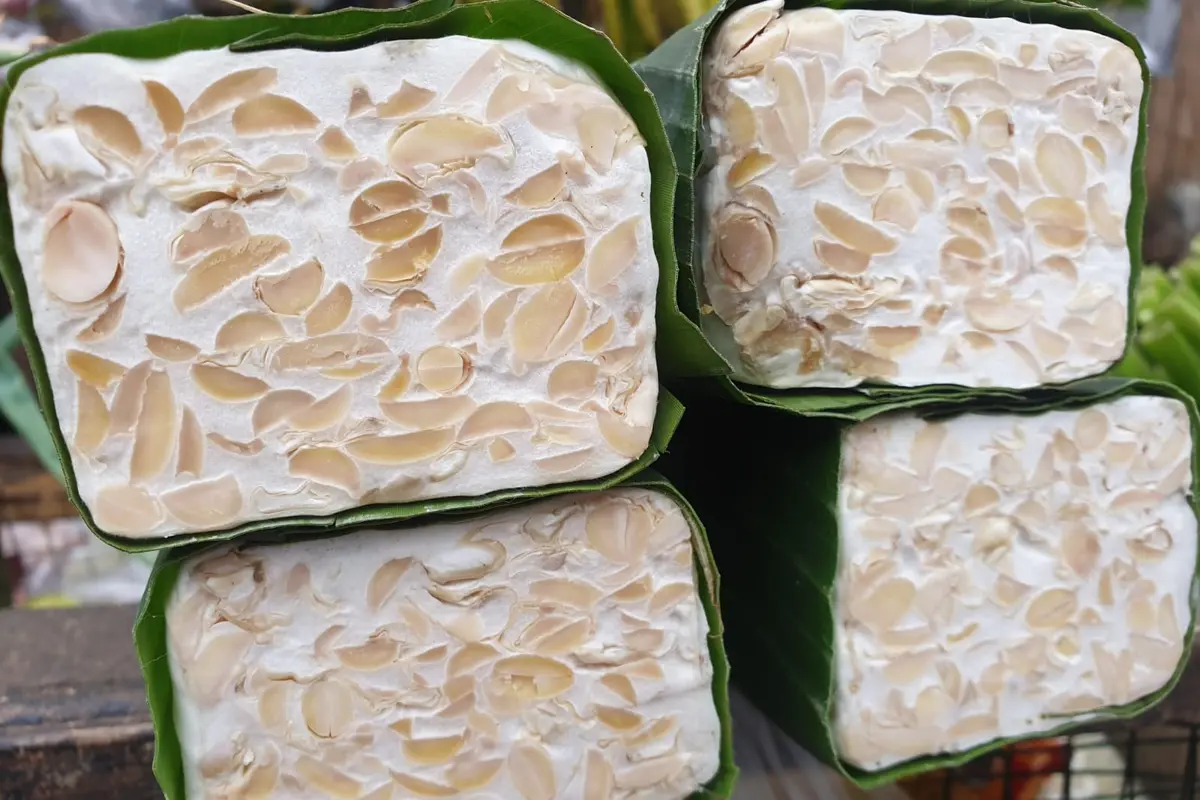 Harga kacang kedelai yang masih bertahan di atas Rp 11.200 per kilogram (kg) cukup membebani para pengrajin, di tengah perlambatan ekonomi akibat pandemi Covid-19 saat ini.