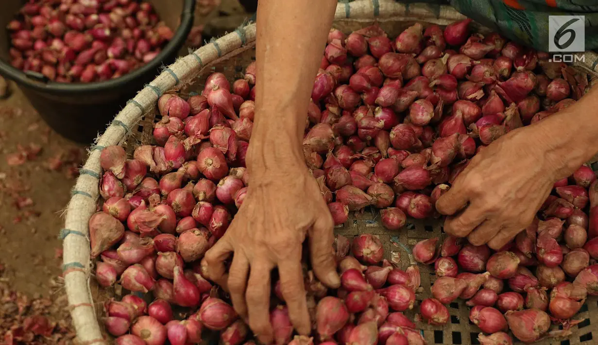 Seorang pedagang memilah bawang merah yang dijual di Pasar Induk Kramat Jati, Jakarta, Selasa (2/4/2019). Sejumlah pedagang di Pasar Induk Kramat Jati mengaku harga bawang merah dan bawang putih relatif stabil, meskipun terjadi kenaikan harga di beberapa daerah. (Liputan6.com/Immanuel Antonius)