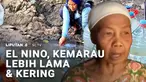 Kemarau panjang yang masih berlangsung berdampak pada menurunnya kualitas air sumur. Meski berubah warna, warga di Karawang terpaksa tetap memakai air yang menguning.