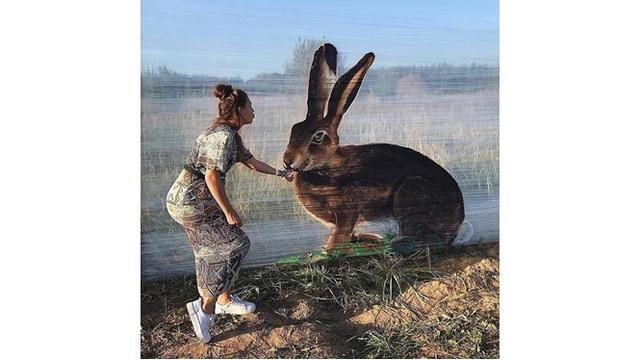 Pria Ini Buat Lukisan Hewan di Atas Plastik, 7 Hasilnya Mengagumkan