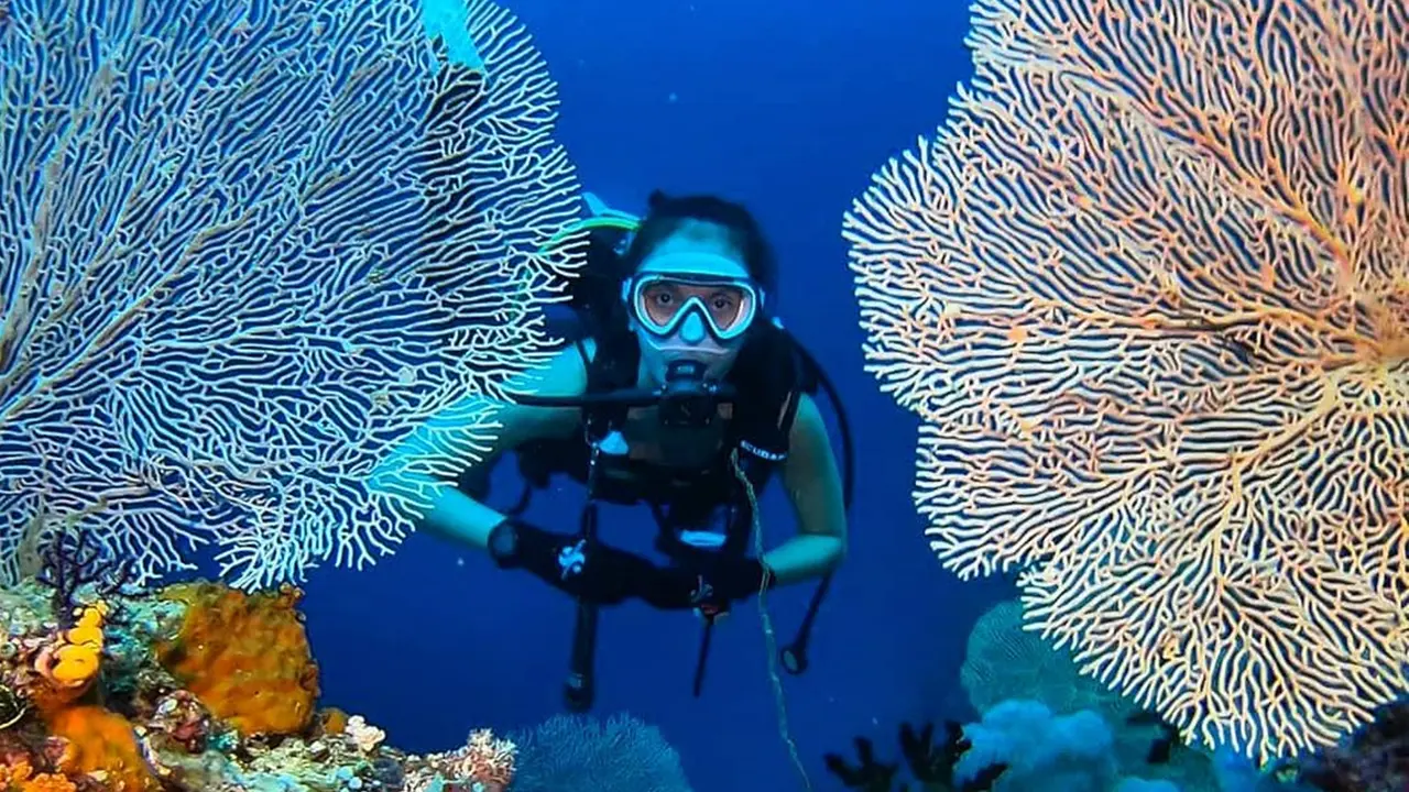 Gaya Widika Sidmore saat Diving, Lihat Pemandangan Bawah Laut