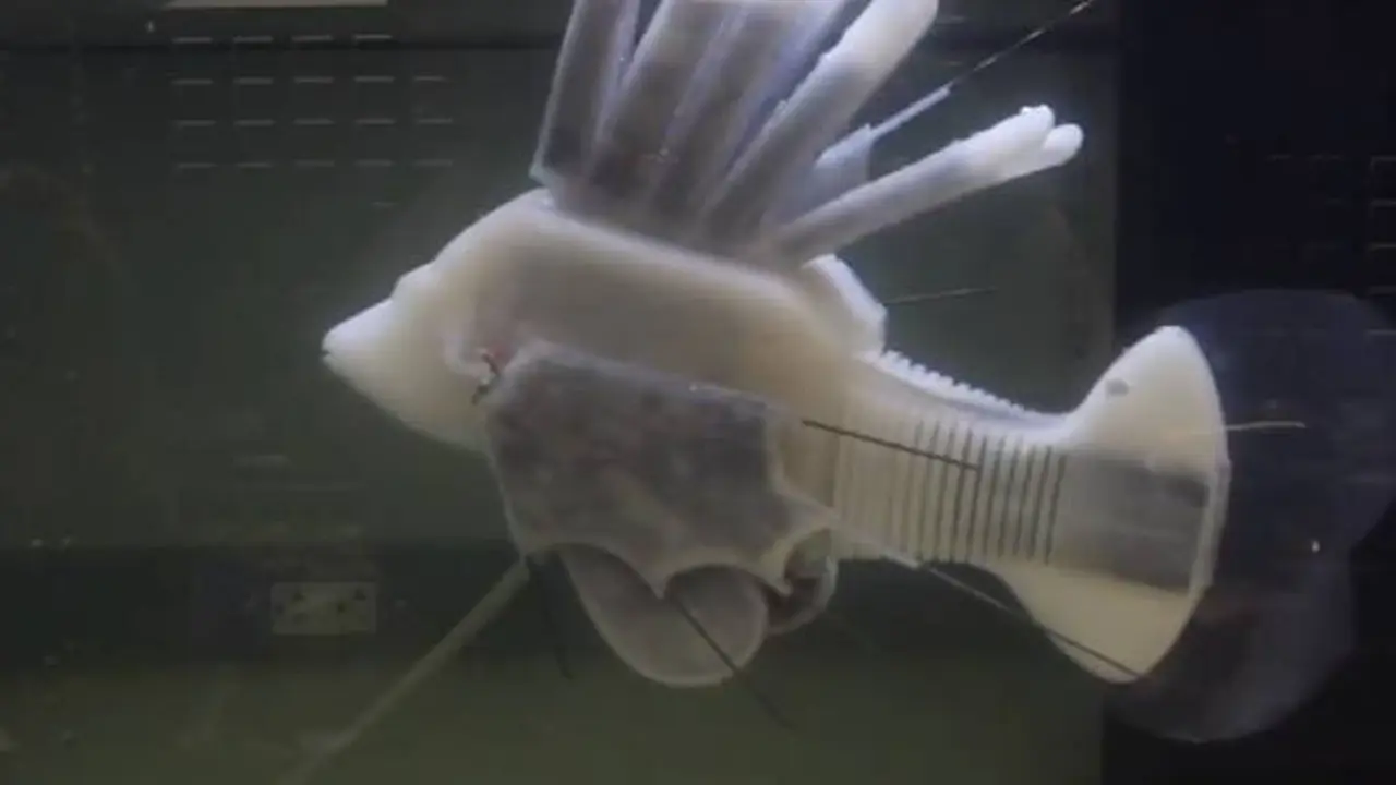 Robot Ikan