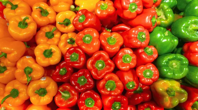 Perbedaan Paprika Merah, Kuning, dan Hijau untuk Penggunaan Terbaik di Berbagai Hidangan