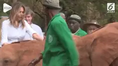 Melania Trump alami kejadian tak menyenangkan saat berkunjung ke Taman Nasional Nairobi, Kenya. Istri Donald Trump tersebut terkejut diseruduk gajah.