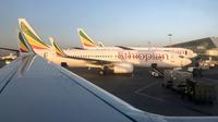 Ethiopian Airlines Boeing 737-800 (AP Photo/Ben Curtis)