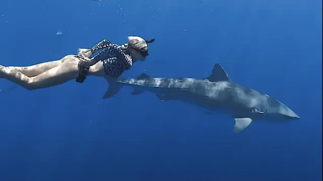 Film Shark Whisperer/Foto: imdb.com