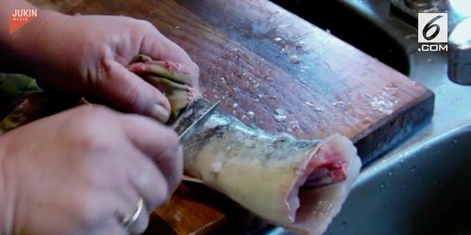 VIDEO: Potongan Ikan Bergerak Meski Kepalanya Dipotong